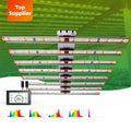 New Arrival Led Grow Lightgsm Device Small Deicoration Light for Plant Grow Light Table Lamp Supplier in China