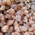 Hotsale Omani Gum New Collected Red Color Frankincense From Oman