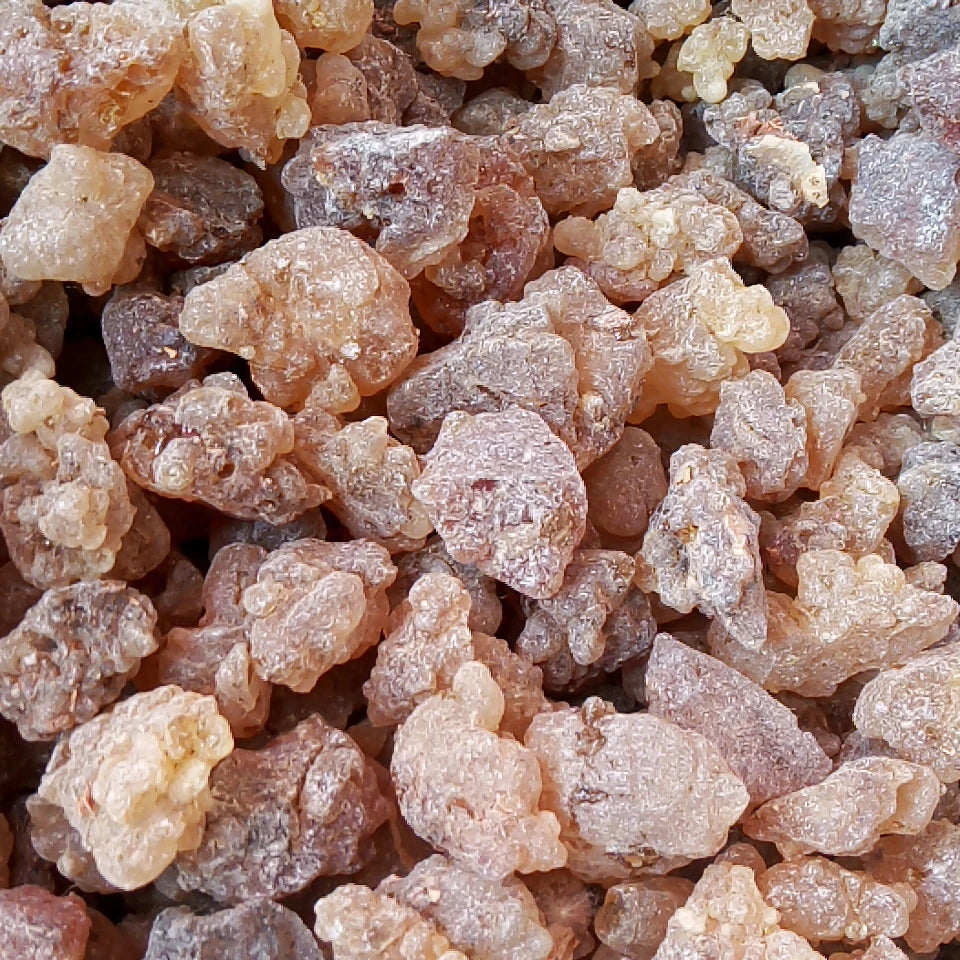 Hotsale Omani Gum New Collected Red Color Frankincense From Oman