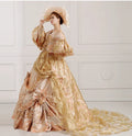 1pc Custom Made  Victorian Medieval Renaissance Costume Dress Marie Antoinette Theater Gown New