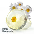 Natural Organic Solid Handmade Transparent Face Soap with Herbal Whitening & Antiseptic Features Flower Essential Oil