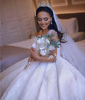 Charming Embroidery Ball Gown Wedding Dresses Sheer Neck Lace 3D Floral Appliques Beads Long Sleeve Bridal Gowns Beach Wedding