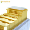 Plastic Bee Hives Manufacturers Mini Bee Hive Boxes Beekeeping Mating Box