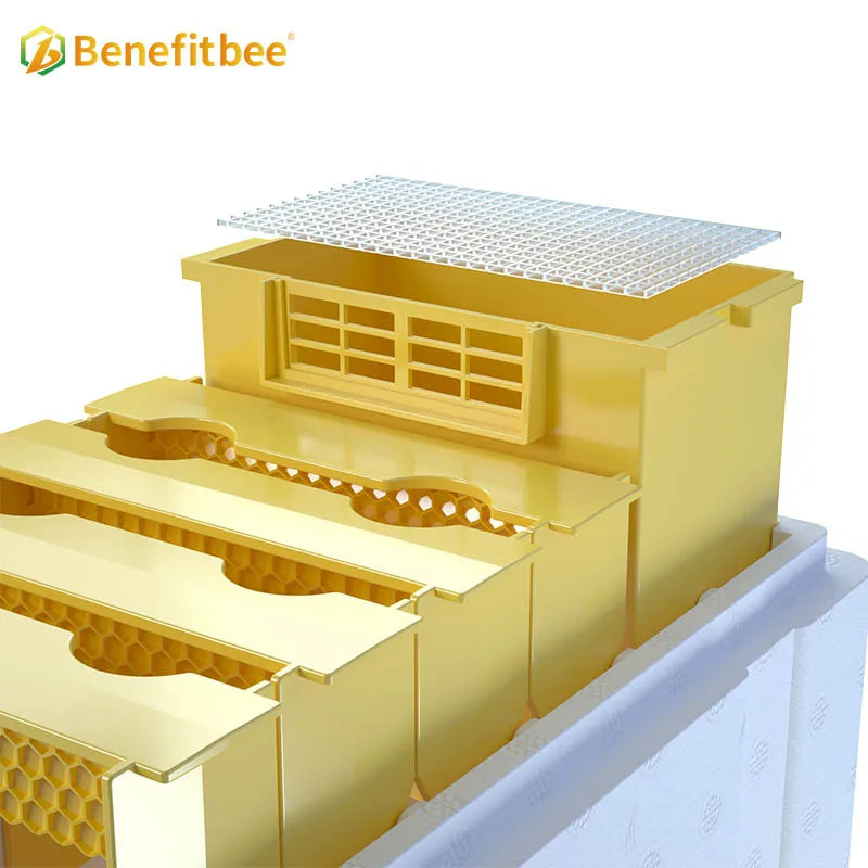 Plastic Bee Hives Manufacturers Mini Bee Hive Boxes Beekeeping Mating Box
