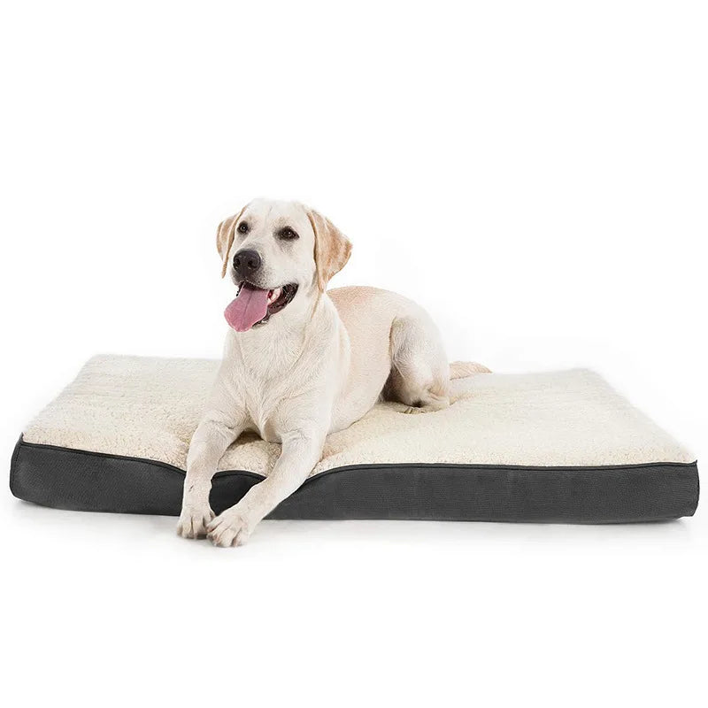 Hot Selling Winter Memory Sponge All Seasons Mat for Small Medium Large Pet Dogs and Cats