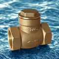 Good Market Swing Flapper Type Check Valve Stable Quality Fast Delivery Multi-Spec for Water/Gas/Industrial Pipeline
