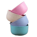 Biodegradable Polished Wheat Straw Bowl Non-Fragile Microwave Safe Salad & Rice Soup Bowl