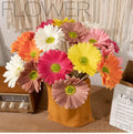 Y0019 Wholesale Single Stem Artificial African Daisy PU Gerbera Flower for Flower Decoration Arrangement