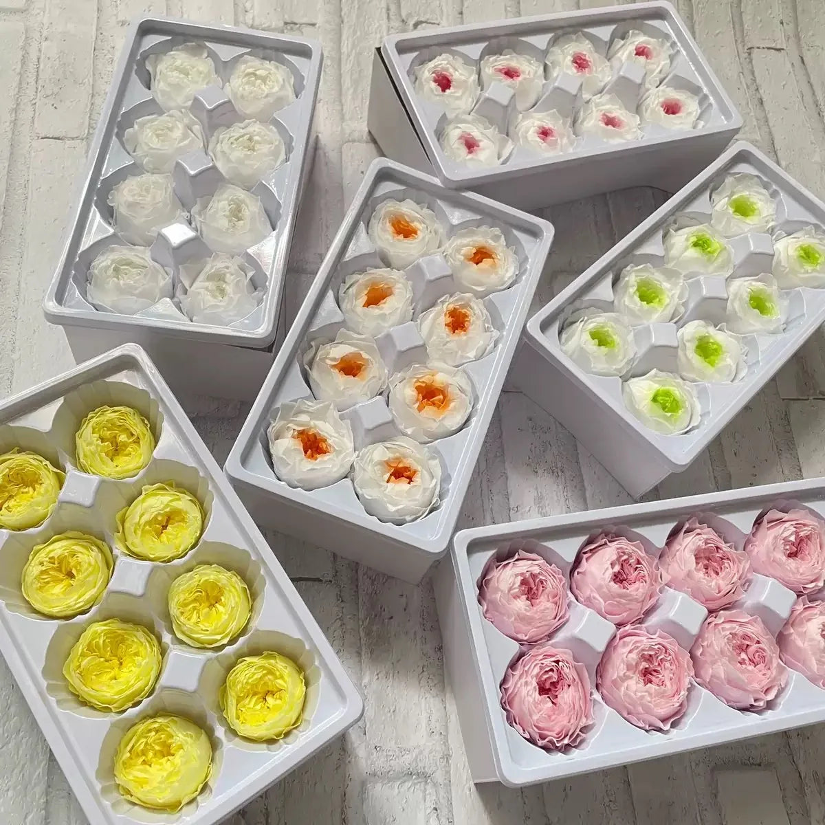 Factory Wholesale Eternal Preserved Rose 4-5CM 8Pcs David Austin Roses Wedding Graduation Floral Arrangements Long Lasting 3-5