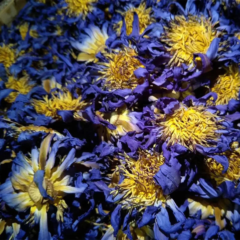 Good Taste and Beautiful Blue Lotus Flower Tea Dried Herbal Tea