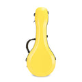 SUN-FM YW RM Rainbow Musical Instrument Case Wholesale Cheap Fiber Glass Accessory for Guitar Mondolin Cases