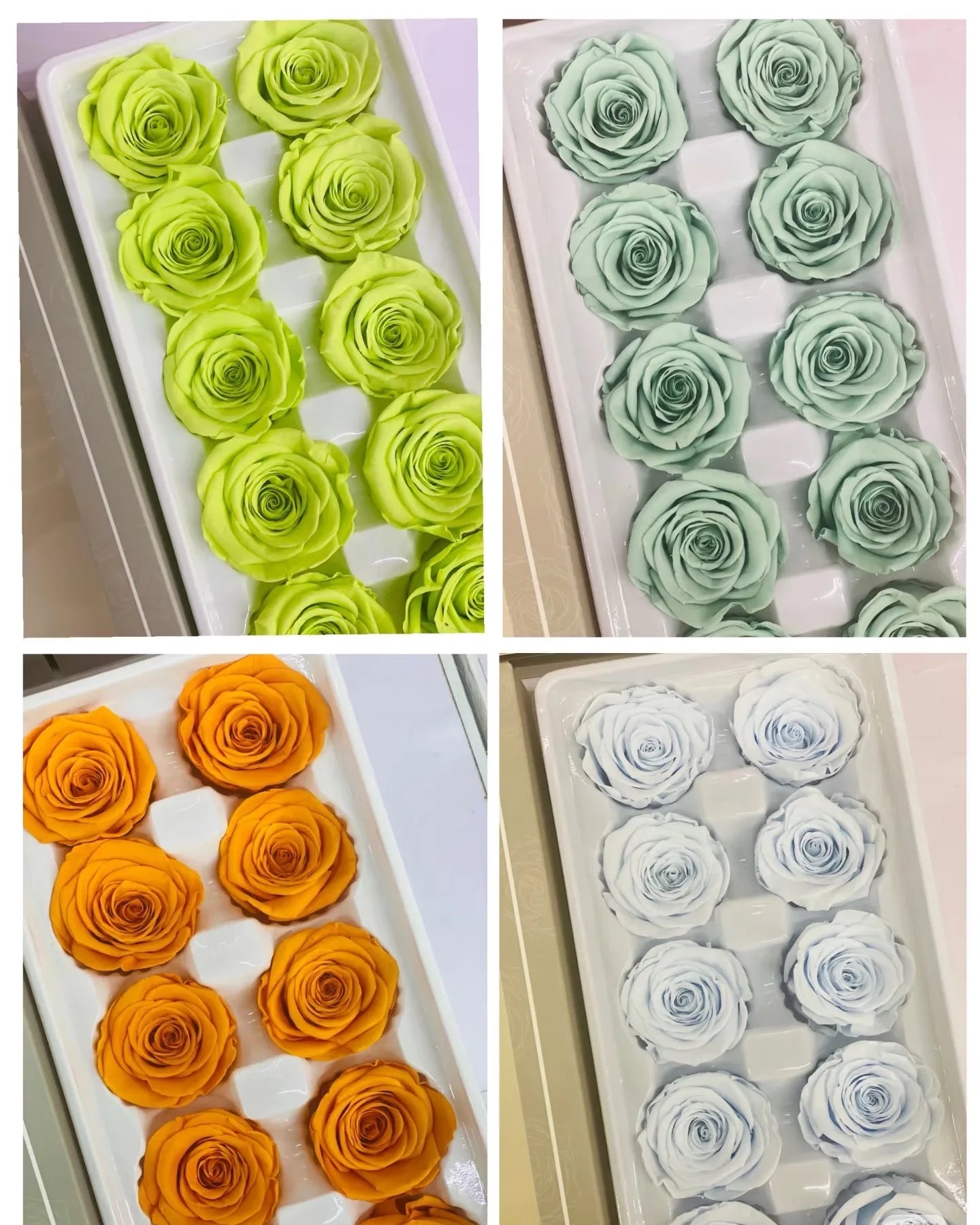 Factory Wholesale Bulk Preserved Flower 3-4cm  10/12pcs/Box Rose  Head Eternal Rose  Dried Butterfly for Wedding Decoration