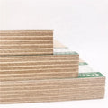 Baltic Birch Plywood 12mm 15mm 18mm 4x8 Birch Plywood Interior E0 Glue B/BB BB/BB