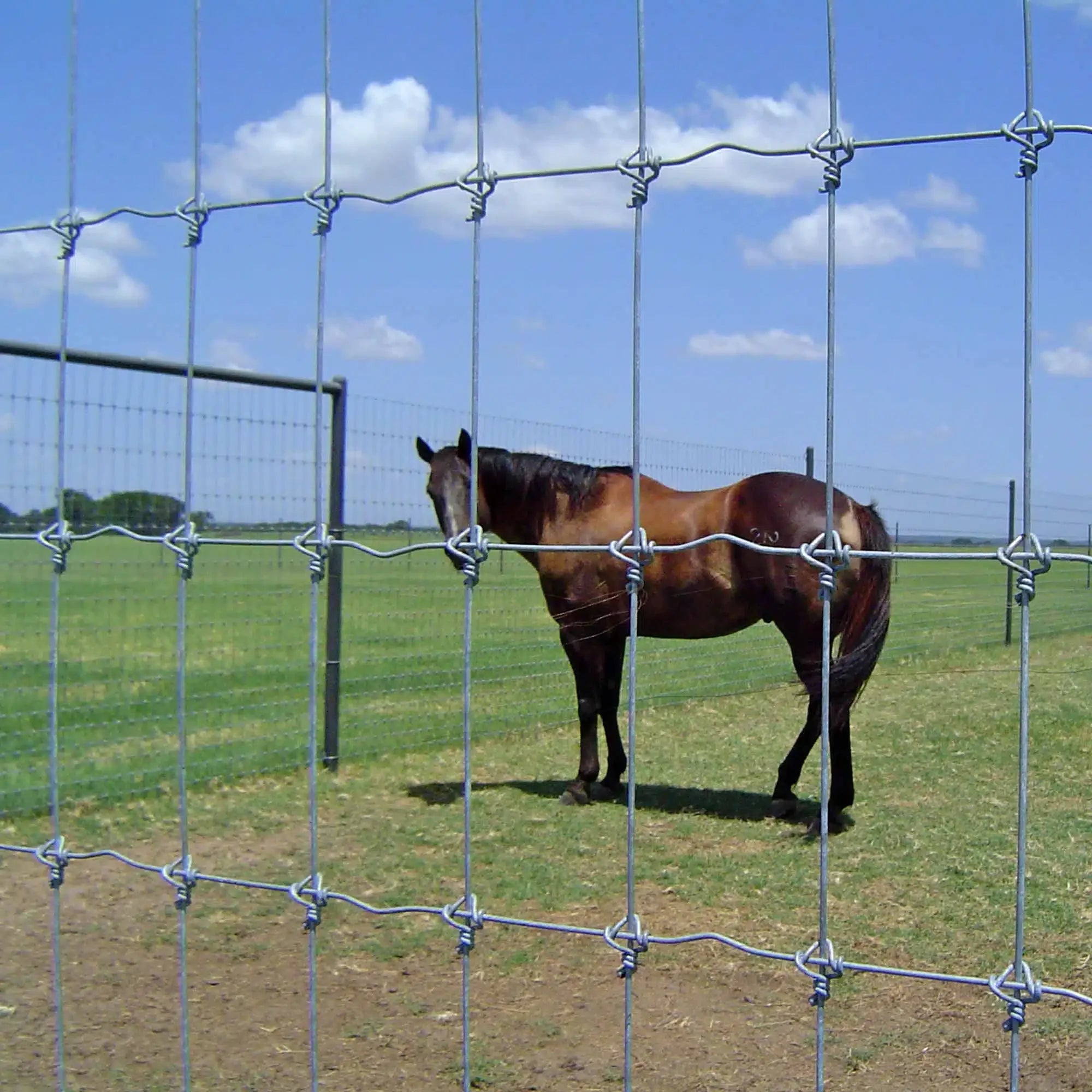 2.2mm 2.5mm 2.7mm Wire Heavy Duty Fixed Knot Woven Wire Field Fence/ Galvanized Sheep Farm Fence