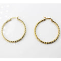 BMZ 2025 New Unique Stainless Twist Earring Hoop Fashion Gold Earring Jewelry 2.5*2.5 cm