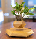 Magnetic Levitating Rotating Plant Pot ABS Material Minimalist Design Creative Unique Gifts Bonsai Potted Home Garden Decoration