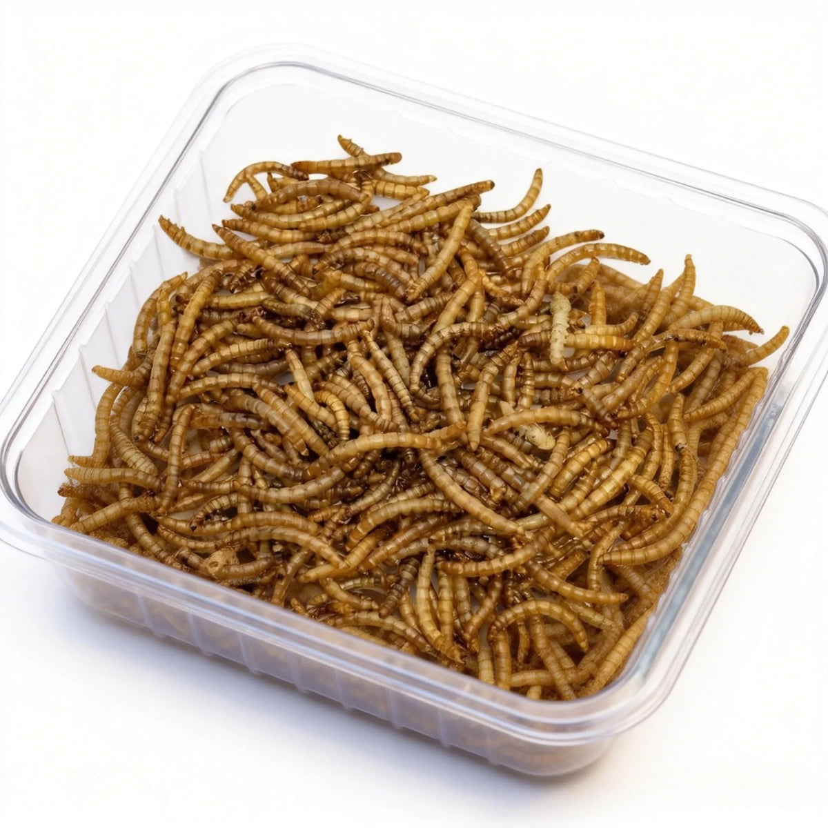 WHOLESALE BULK High-Protein Dried Mealworms Live Freeze-Dried Edible Insect Treats for Birds Digestive Health MegaBDM