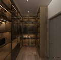 Balom 2024 Modern Metal Glass with Mirror Bedroom Walk in Wardrobe Design Customize Organizer Armoire Custom Clothes Cabinet
