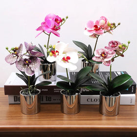Wholesale Artificial Real Touch Phalaenopsis Orchid Flowers for Home Living Room Decoration Flower