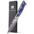 WILDMOK Damascus Paring Knife 3.5 Inch Japanese 67 Layers Damascus Steel Fruit Knife Ultra Sharp Resin Handle