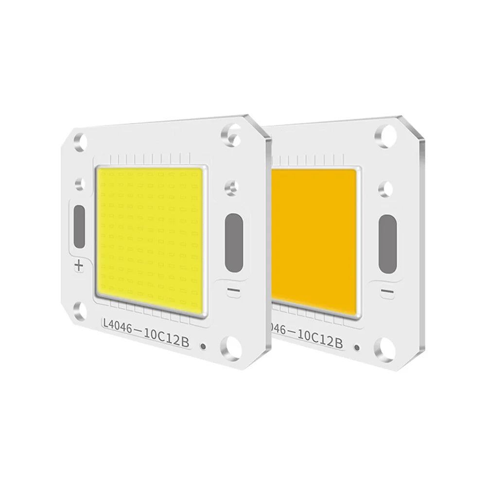 High Power 20w 30w 50w 40*60mm COB LED Chip for Lamp