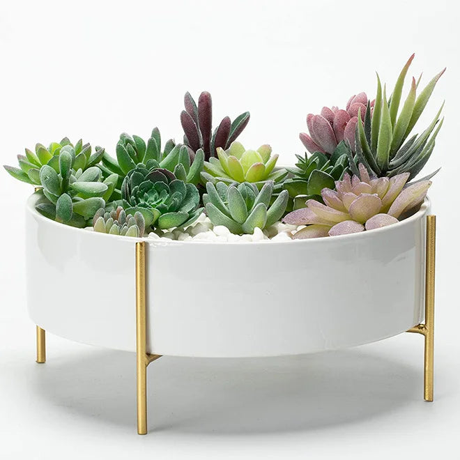 Hot 10 Inch Ceramic Round Succulent Planter Bowl With Metal Stand White Flat Pot With Drainage Succulent Garden Shallow Pot