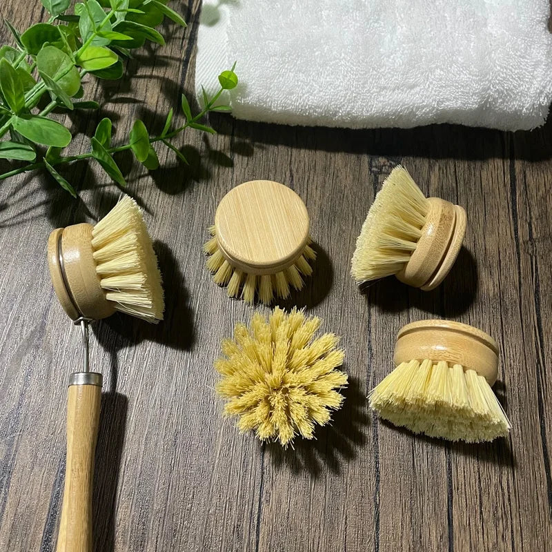 In Stock Wholesale RTS Beech Wood Sisal Vegan Bristle Kitchen Cleaning Tools Dish & Pot Brushes 100% Bamboo Pan Pot Dish Brush