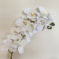 Y-H031 Wholesale Artificial Orchids Phalaenopsis Dendrobium Latex Butterfly Orchid 11 Heads Real Touch Artificial Orchid Flowers
