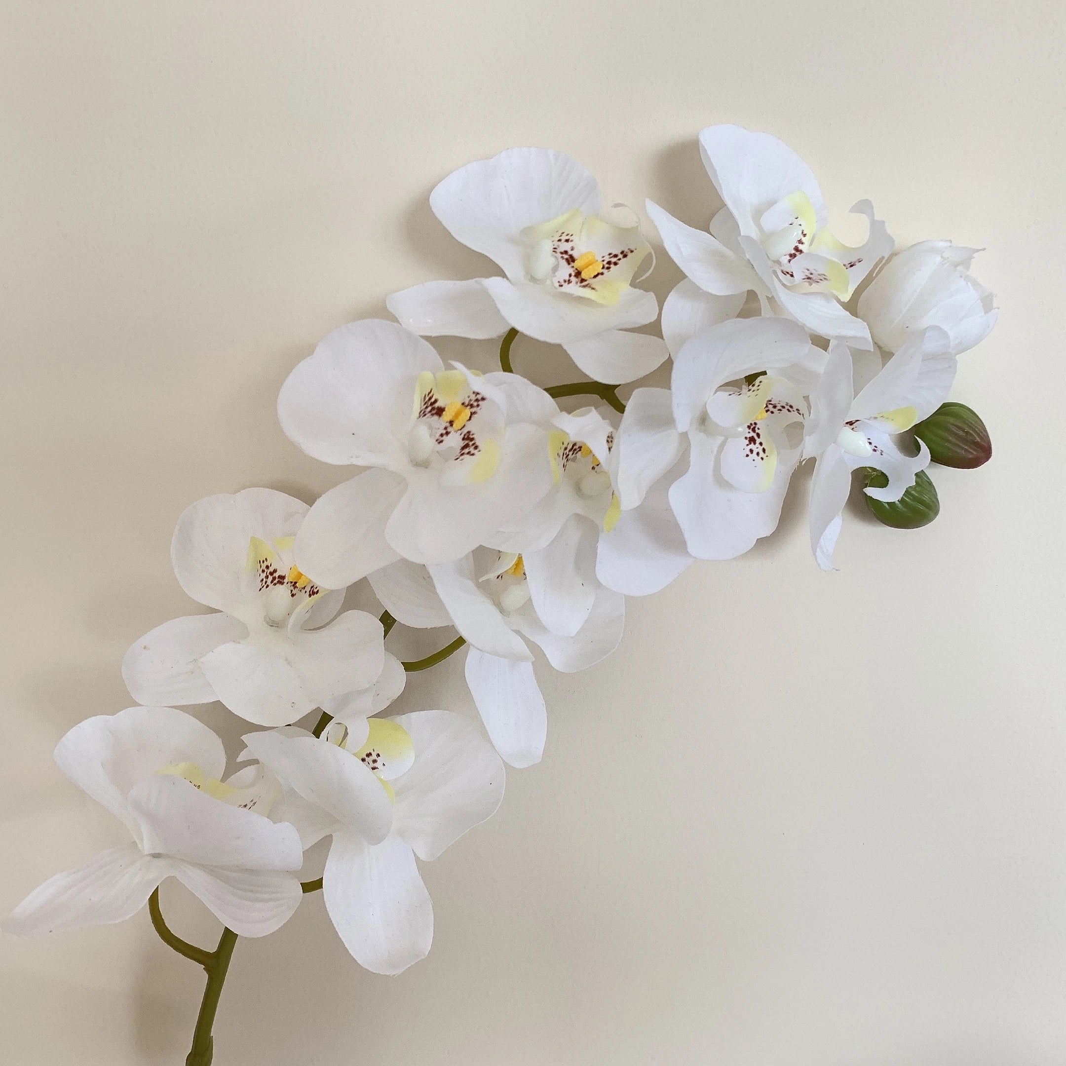 Y-H031 Wholesale Artificial Orchids Phalaenopsis Dendrobium Latex Butterfly Orchid 11 Heads Real Touch Artificial Orchid Flowers