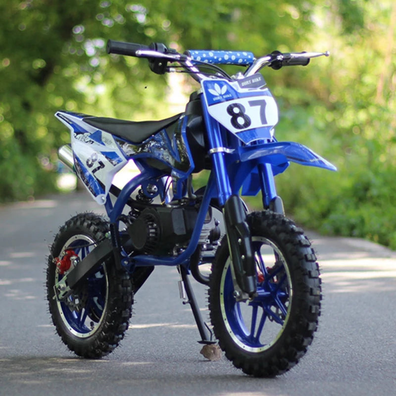 Chinese Cheap Cross Mini Dirt Bike 14-12 Wheels 49cc Gas Powered Sports 49cc Dirt Bike in Motorcycle