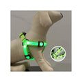 Oem Production Customized Color M Night Safety Glowing Led5050 Light Dog Harness Set