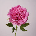 H-346 Artificial Single Stem Real Touch Peonies Large Head White Pink Peony Flower for Wedding Party Decoration