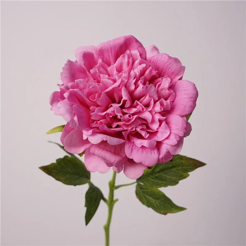 H-346 Artificial Single Stem Real Touch Peonies Large Head White Pink Peony Flower for Wedding Party Decoration
