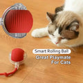 OEM Hot Sale Interactive Speedy Tail Cat Toy Ball Smart Pets Electric Movement Toy Balls Made of Durable Silicone and Plastic