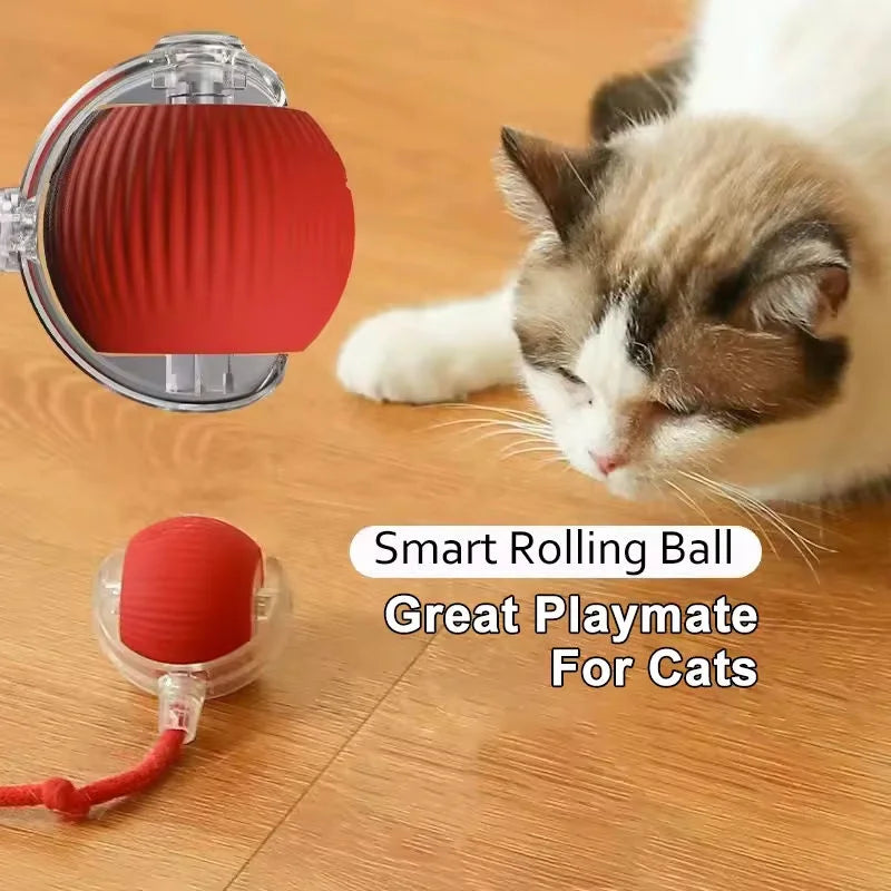 OEM Hot Sale Interactive Speedy Tail Cat Toy Ball Smart Pets Electric Movement Toy Balls Made of Durable Silicone and Plastic