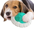 Eco-Friendly Soft Bouncy Rubber Balls Plastic Pet Chew Toys for Small and Large Dogs Tooth Cleaning Dog Play Ball