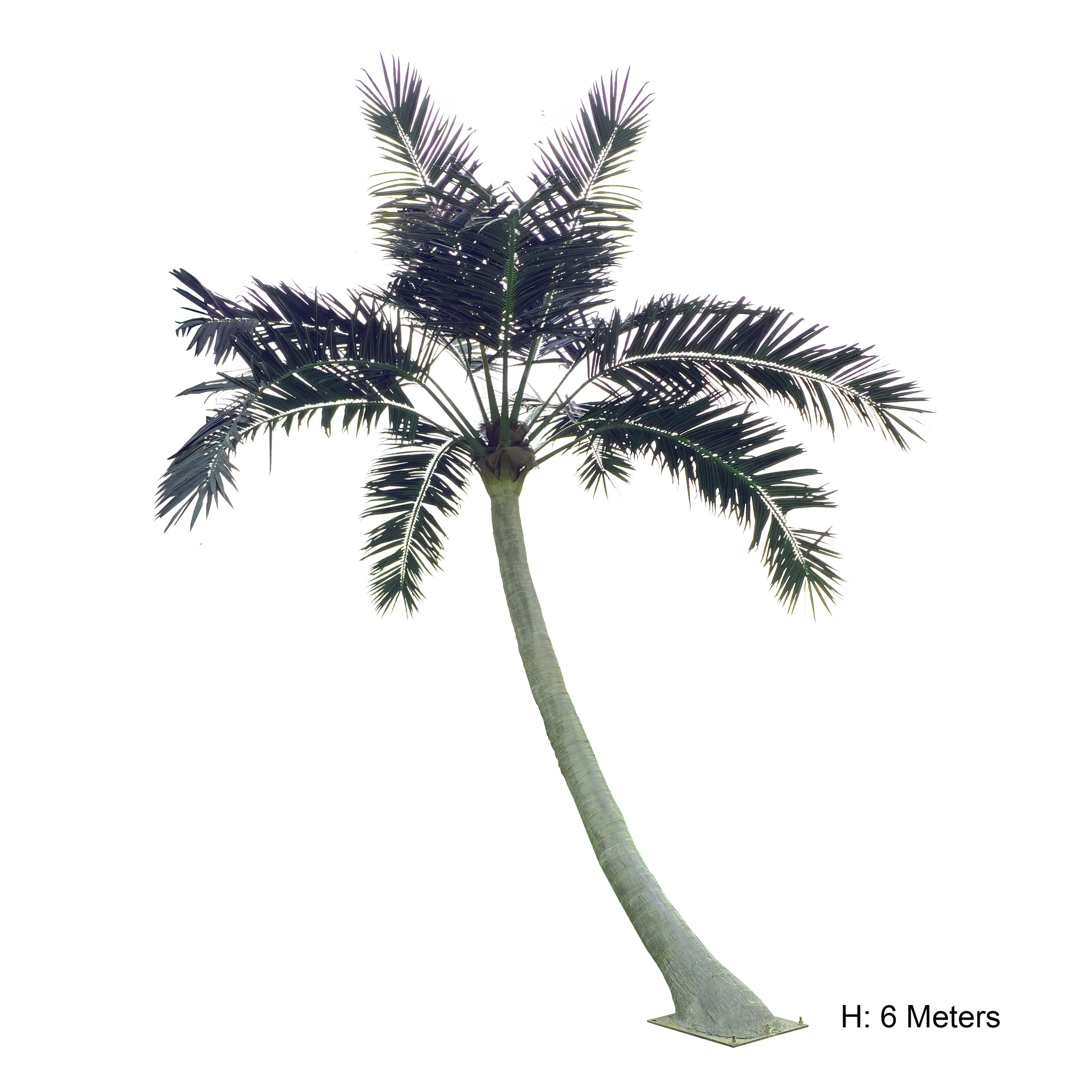 Lifelike Giant Tropical Faux Palm Tree Leaves Large Artificial Curved Coconut Palm Trees for Sale for Hotel Shopping Mall Decor