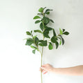 E07251 Wedding Hotel Plant Wall Decor Materials 80CM Single Faux Flower Green Plant Artificial Milan Leaf