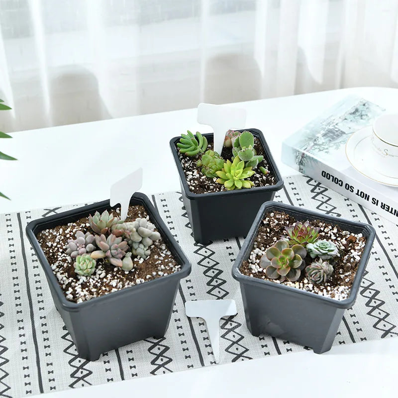 Black Outdoor Flowerpot Succulent Plants Square Plastic Plant Nursery Pot Root Control Garden Pots