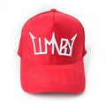 Wholesale Red Embroidery Custom logo Baseball Trucker Caps Hats 5 Panel Hat Direct Embroidery Side Labels