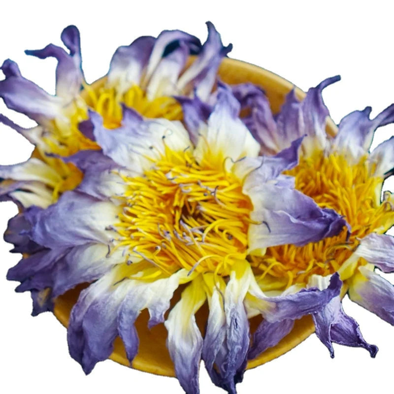 Bulk Dry Egyptian Pink Blue Lotus Flower Tea Flavorful Dried Nelumbo Nelumbo