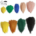 RTS Bulk Wedding Flower Stands White Craft 15-65 cm Large Dyed Color Drabs Ostrich Feather for Wall Art Wedding Carnival Decor