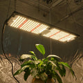 Kingbrite 240w Led V4 Board Samsung Lm301h Mix XP-E2/XP-G3 660nm Full Spectrum Led Grow Light