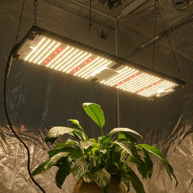 Kingbrite 240w Led V4 Board Samsung Lm301h Mix XP-E2/XP-G3 660nm Full Spectrum Led Grow Light