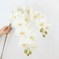 E-L047 Factory Wholesale Wedding Home Decoration Phalaenopsis 9 Heads Artificial Real Touch Latex Butterfly Orchid Flower