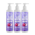Oalen Private Label Cleansing Reduces Itchy Scalp Hair Fall Control Onion Hair Shampoo
