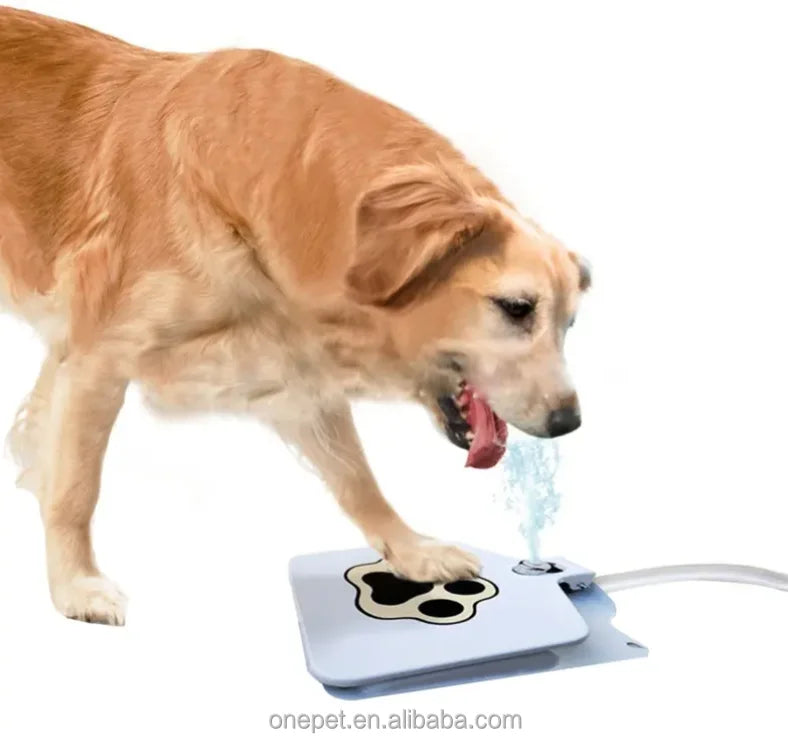 Automatic Outdoor Dog Drinking Fountain Stylish Stainless Steel Pet Water Fountain with Eco-Friendly Feature Step-On Function