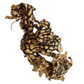 High Quality Natural Raw Tree Lungwort Fungus Lung Lichen Lung Moss for Sale