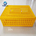 Large Sizeplastmanual Cagesoultry Transport Crate Cage EO PCS Plastic Square Container Poultry Field Long Time Farmsretail YIZE