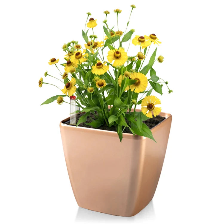 BRICE Vasos De Flores Small Gold Plant Pot Self Watering Plant Pot Sets
